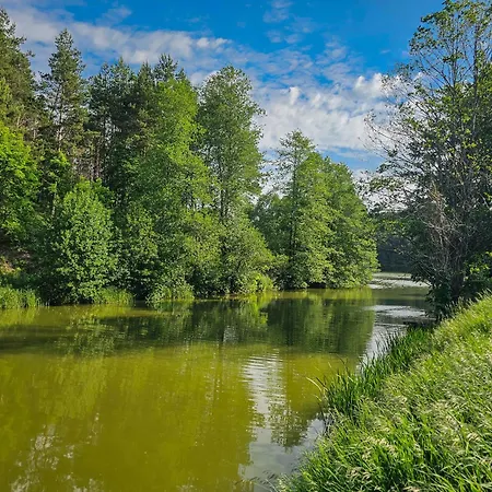 Dom Pod Klonem Na Kaszubach Kościerzyna