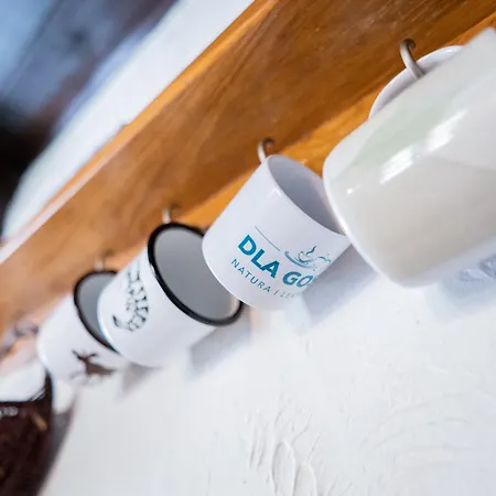 Tatil Evi Dom Pod Klonem Na Kaszubach Kościerzyna