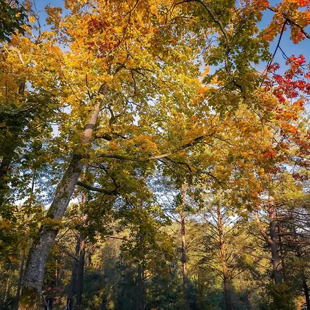 Dom Pod Klonem Na Kaszubach Tatil Evi Kościerzyna