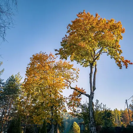 Dom Pod Klonem Na Kaszubach * Kościerzyna