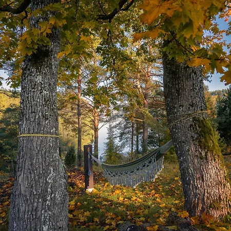 Dom Pod Klonem Na Kaszubach Tatil Evi