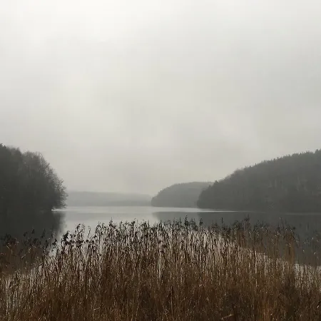 Dom Pod Klonem Na Kaszubach Kościerzyna