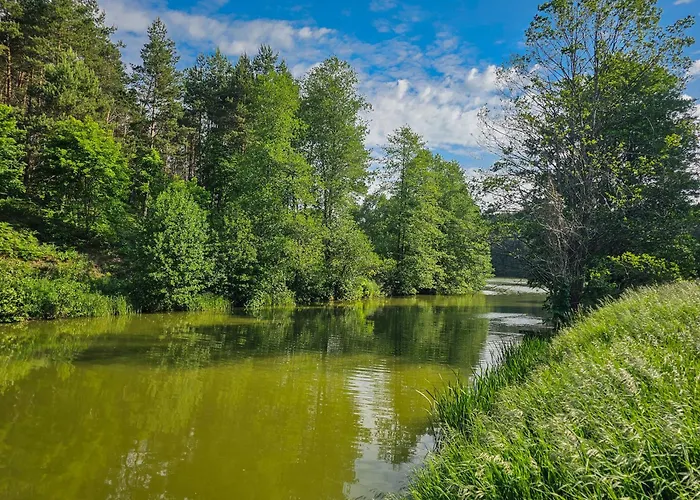 Dom Pod Klonem Na Kaszubach Kościerzyna
