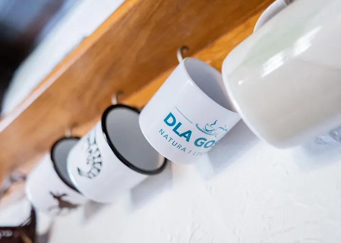 度假居 Dom Pod Klonem Na Kaszubach Kościerzyna