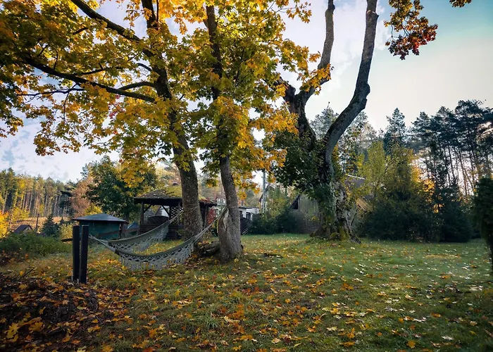Dom Pod Klonem Na Kaszubach 度假居 *