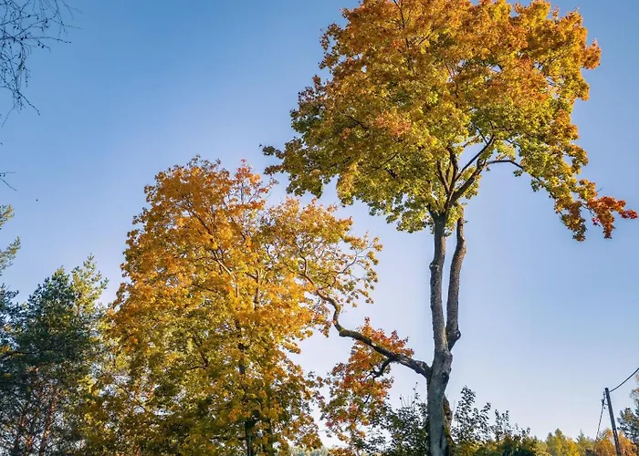 Dom Pod Klonem Na Kaszubach * Kościerzyna