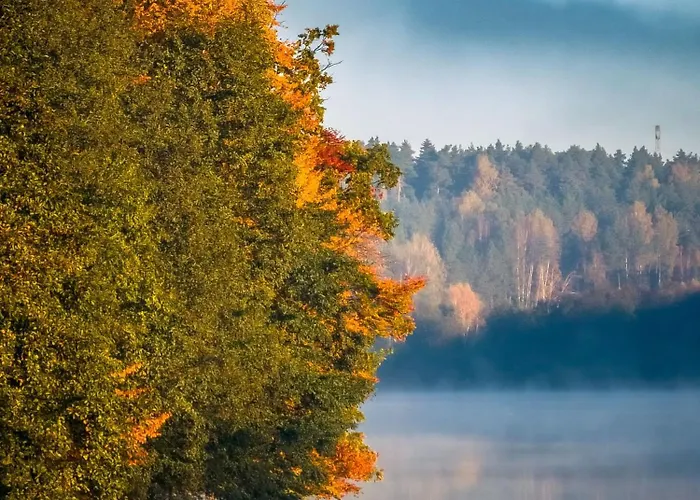 Dom Pod Klonem Na Kaszubach
