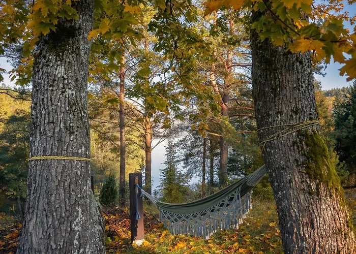 Dom Pod Klonem Na Kaszubach 度假居