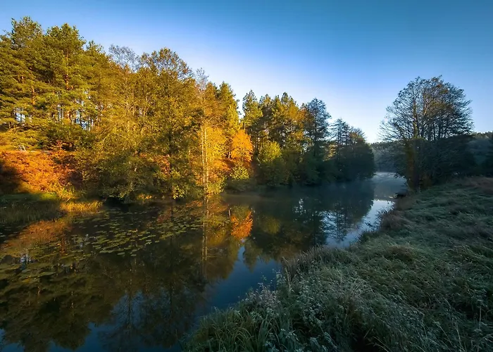 度假居 Dom Pod Klonem Na Kaszubach
