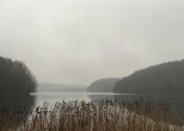 Dom Pod Klonem Na Kaszubach Kościerzyna